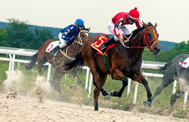 Online Horse Racing